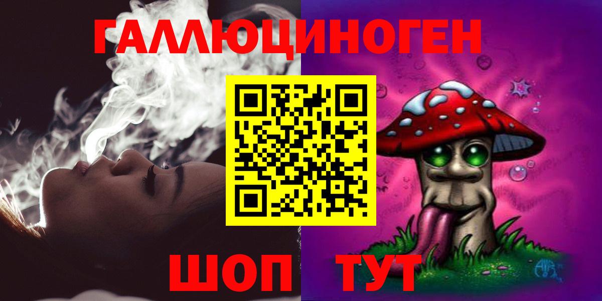 Псилоцибиновые грибы Psilocybine cubensis Дмитров